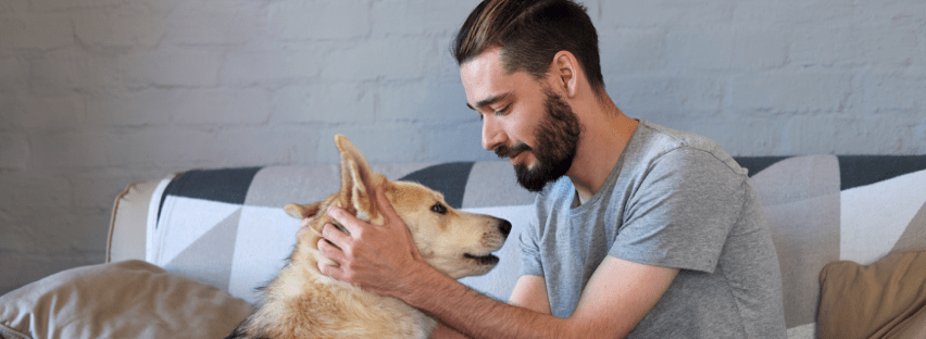 Rencontre mon chien